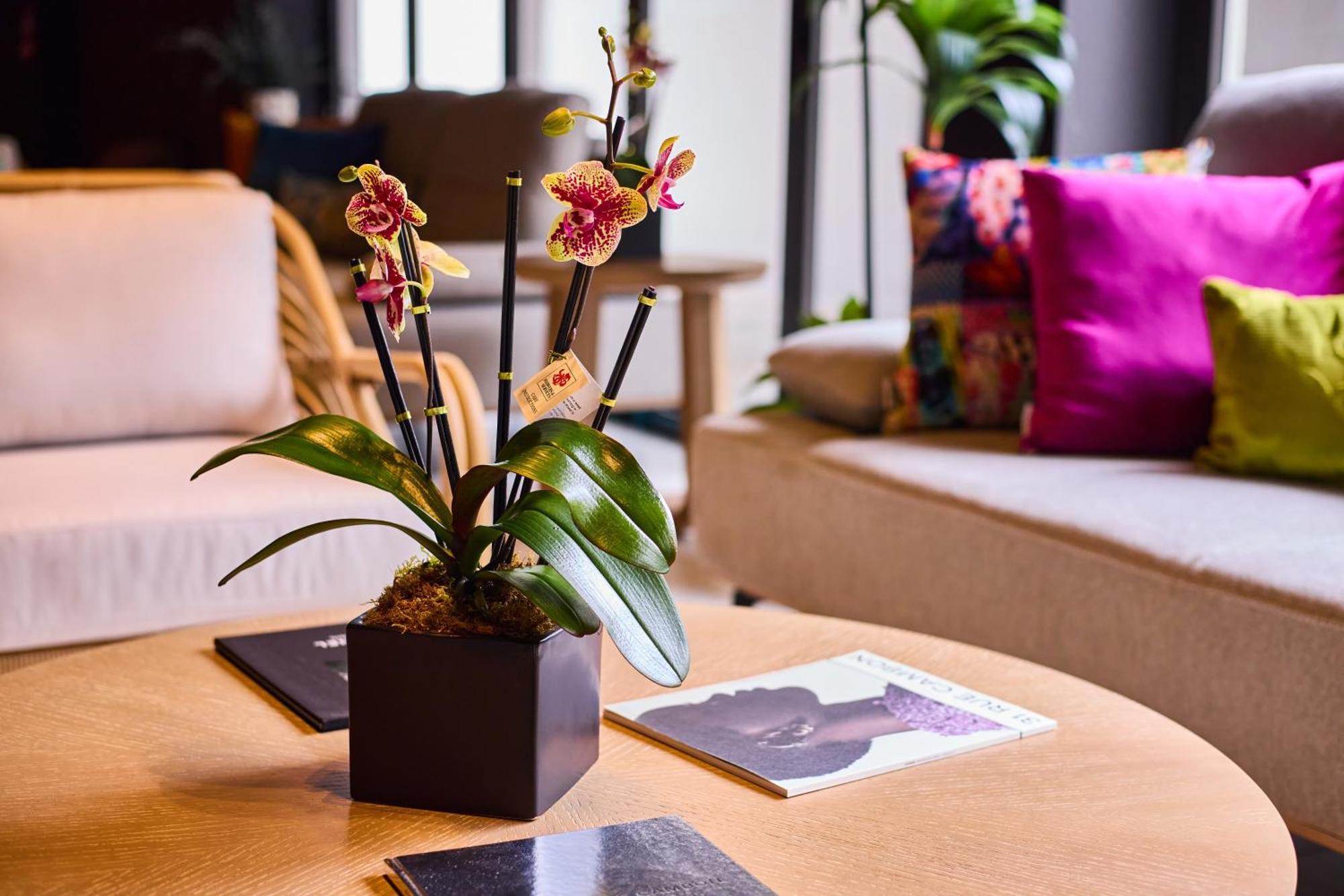 Ola Boutique Hotel San Juan Ngoại thất bức ảnh